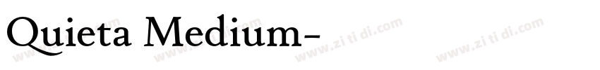 Quieta Medium字体转换